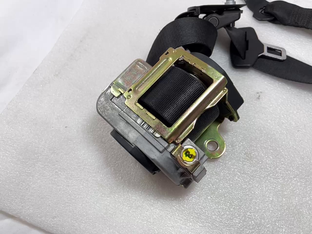 2022-04-23 124226.jpg